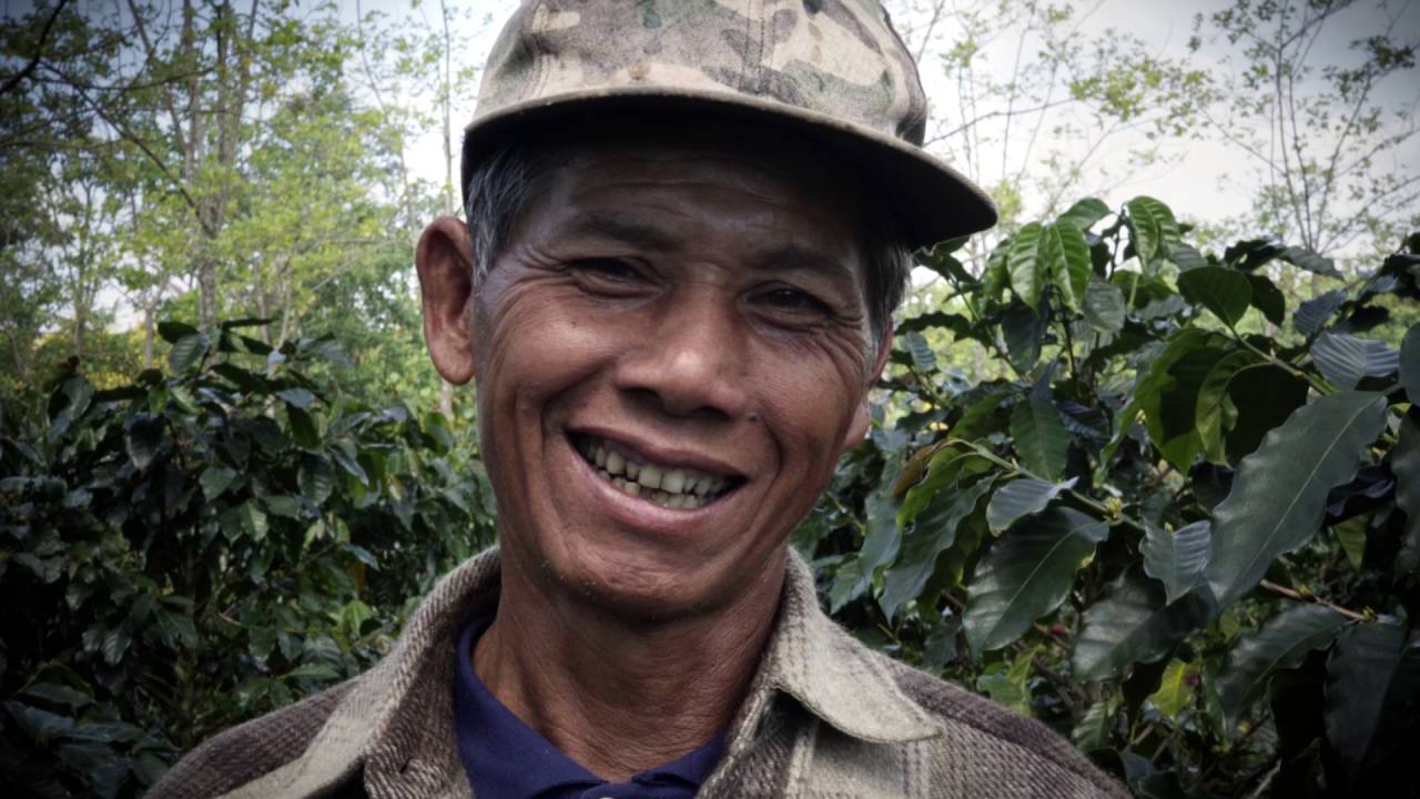 Laos Coffee Producers