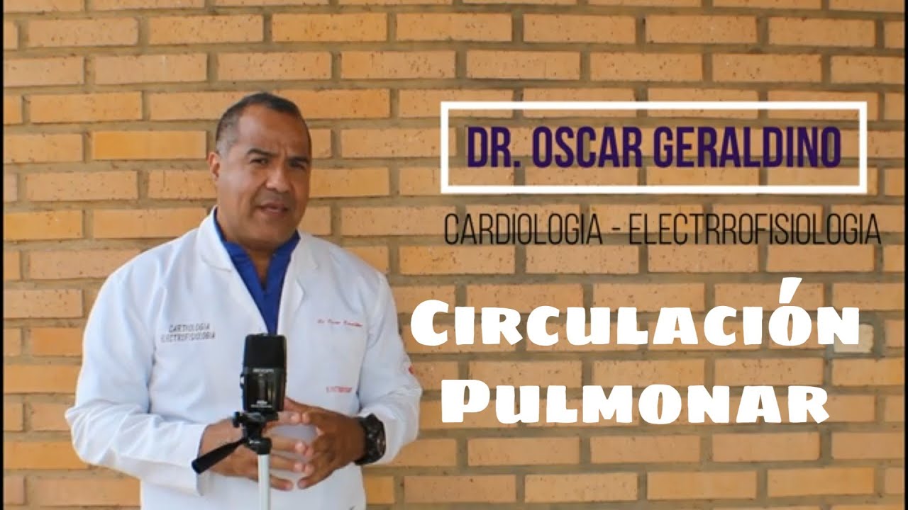 Circulaci&oacute;n Pulmonar y circulaci&oacute;n mayor!.