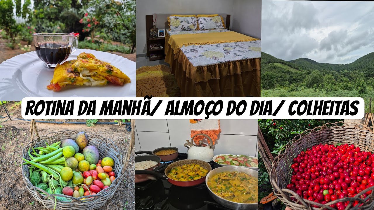 Tudo que produzimos/ muitas farturas/ comida fresquinha/ rotina da manhã 