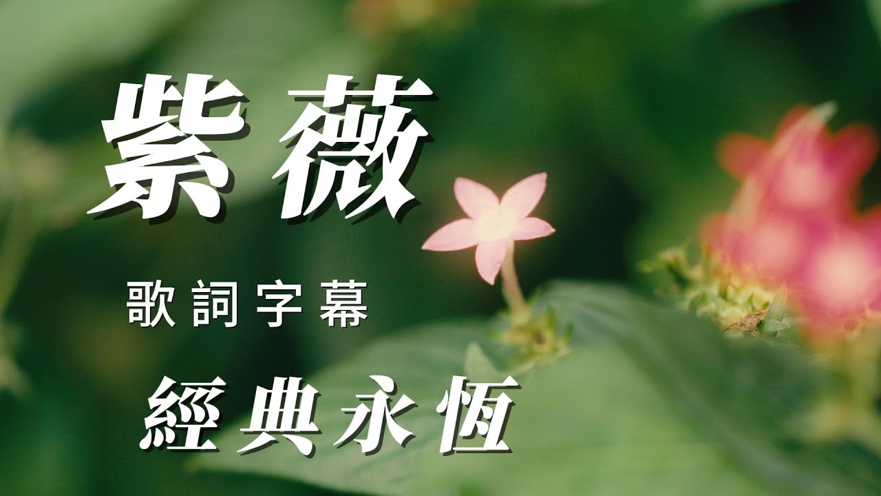 （紫薇）朋友喜歡（經典永恆）🐰謝謝朋友🐥🐥