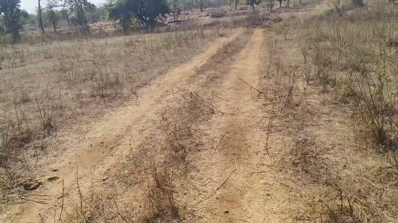 20 guntha tebal plot main market 2 kim distance 120 pr guntha plot contact 9226224222