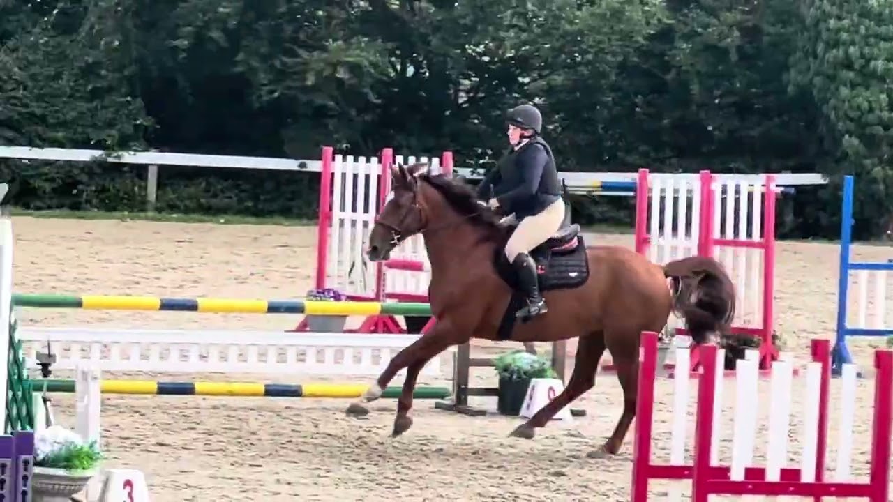 Finn 85cm National Amateur - clear and 1st 🥇 (despite some terrible mistakes!)