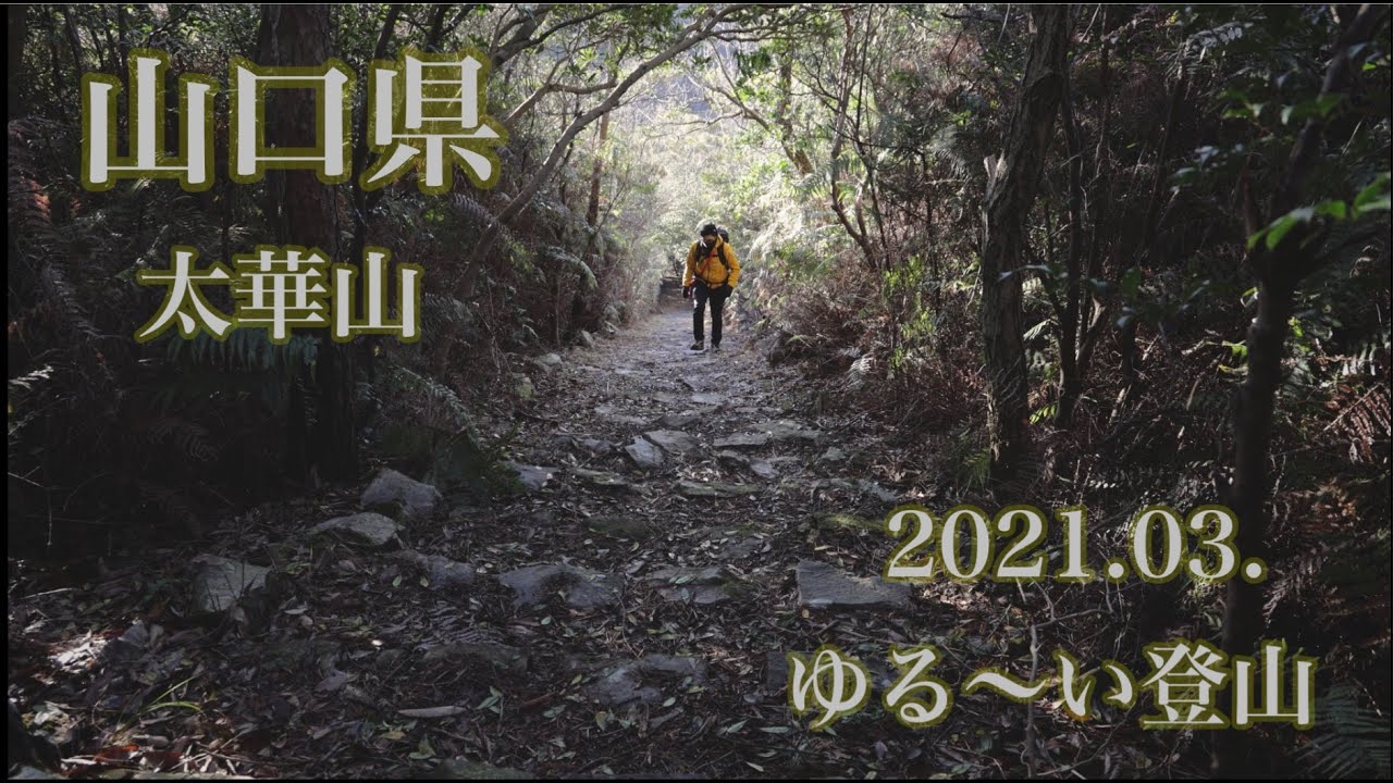 【登山】太華山へ　　まだまだ寒い3月始めの休日、天気の悪い予報から回復に…午後からゆる〜いトレッキング。【山口県の山】【がんさんぽ】