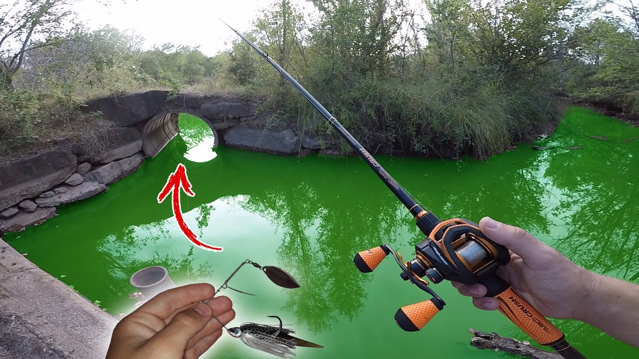 P&ecirc;che d'un &Eacute;TANG PERDU avec la Nouvelle Canne !