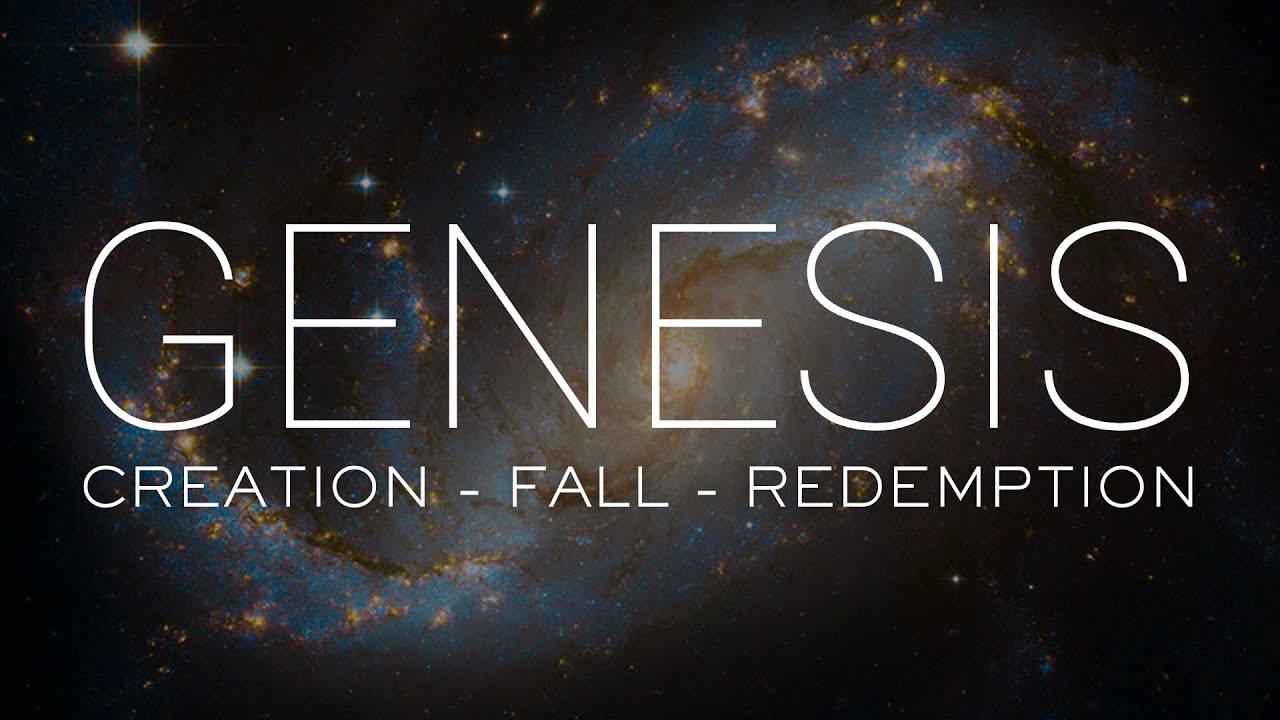 Divine Design - Genesis 1:6 - 23