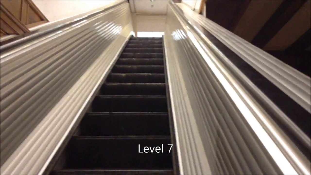 Department Store Escalators