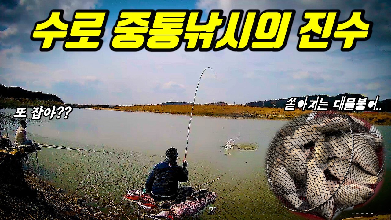 이 맛에 중통낚시 합니다. 옆 조사님도 기겁한 미친 조과 ㅎㄷㄷㄷ