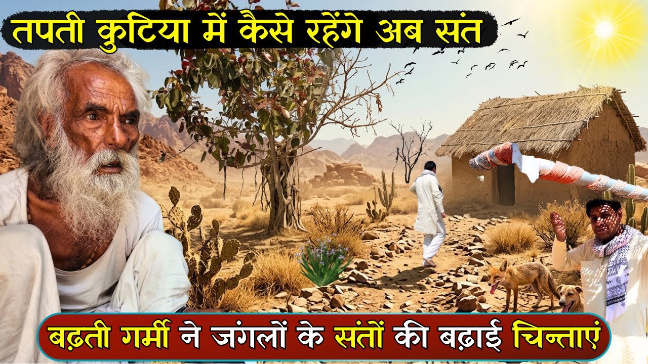 तपती गर्मी; जंगल में रहने वाले संतों की रहन सहन और साधना दर्शन @BrajVihar #brajkesant #santseva 