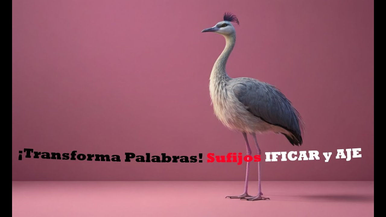🌟✨ ¡Descubre cómo los sufijos hacen que una palabra sea una acción! | LetriNúmeros