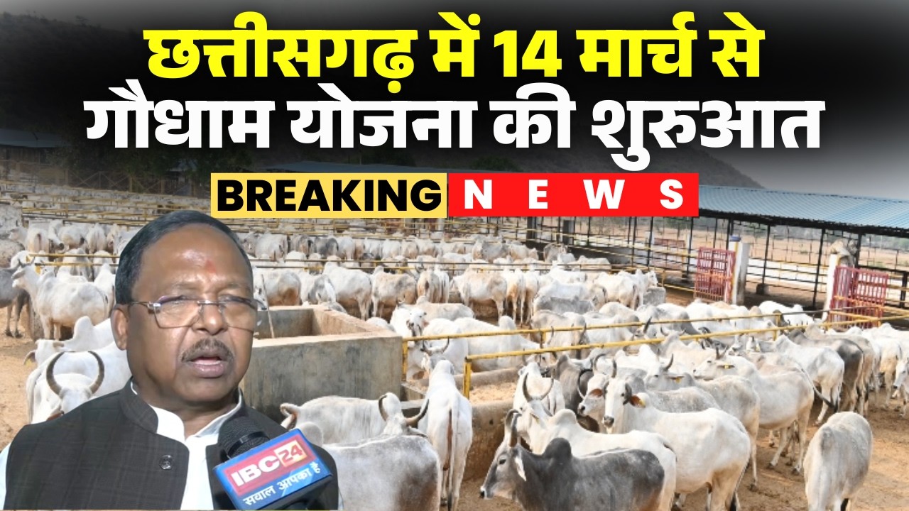 CG Gaudham Yojana 2026: गौधाम योजना को लेकर कृषि मंत्री Ramvichar Netam का बड़ा बयान। देखिए..