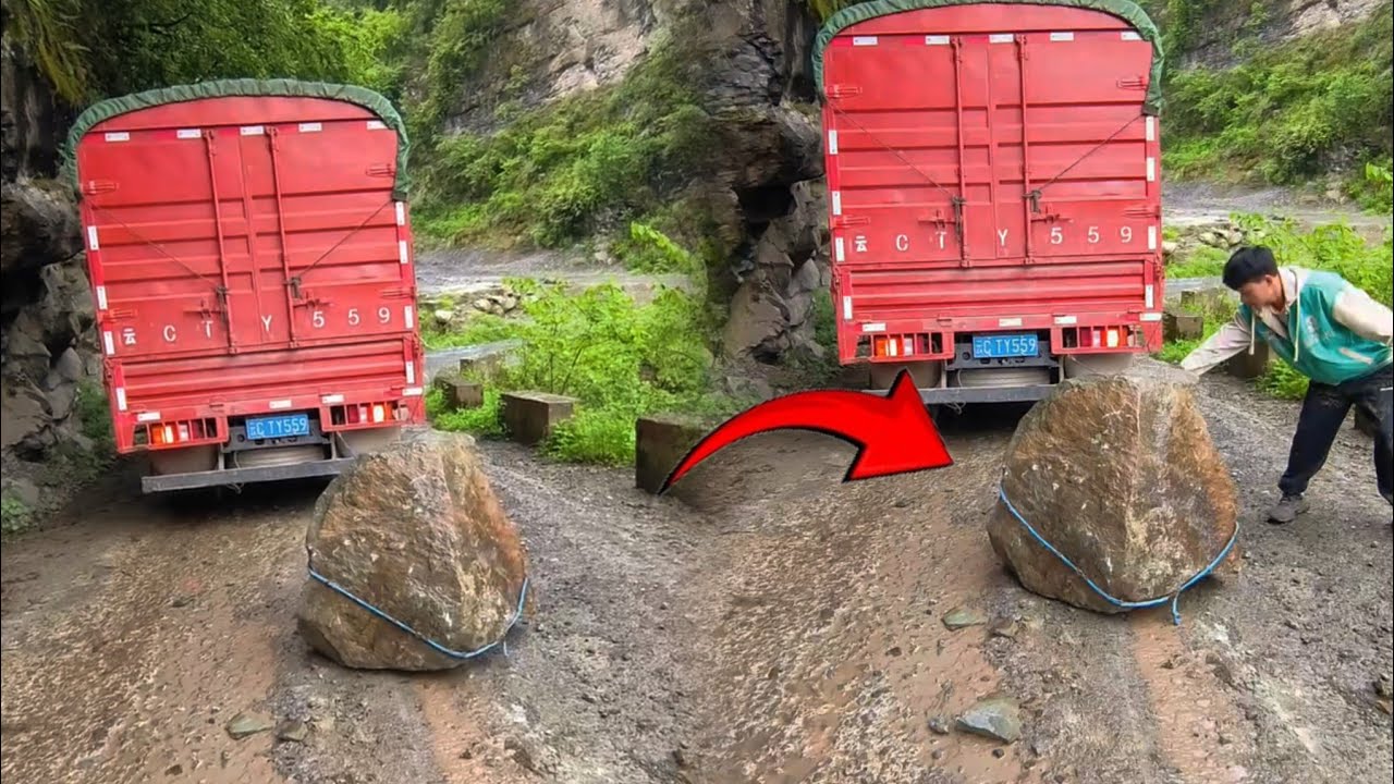 “This Is Why Humanity Still Exists 🙏 | Brave Road Rescue”