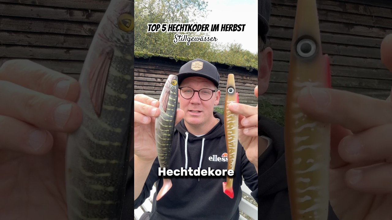 Hechte fangen im Herbst Part 2 #hechtangeln #raubfischangeln #hecht #angeln #raubfisch #fisch