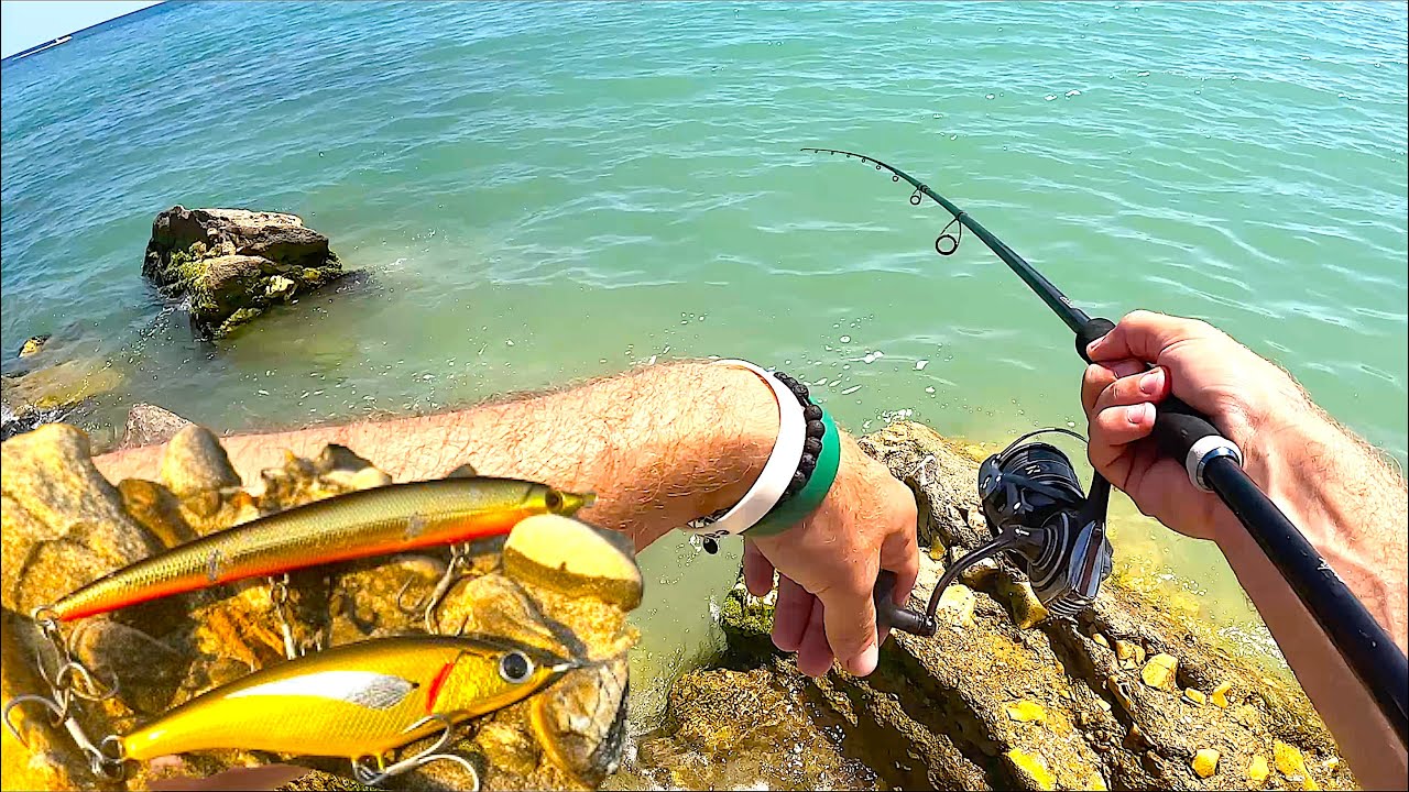 Pesca a Spinning in Mare d'Estate: Due Artificiali Sorprendenti e TANTE Catture!