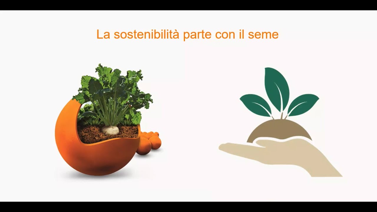 Riunione Invernale Online | Semine 2022 | KWS Italia