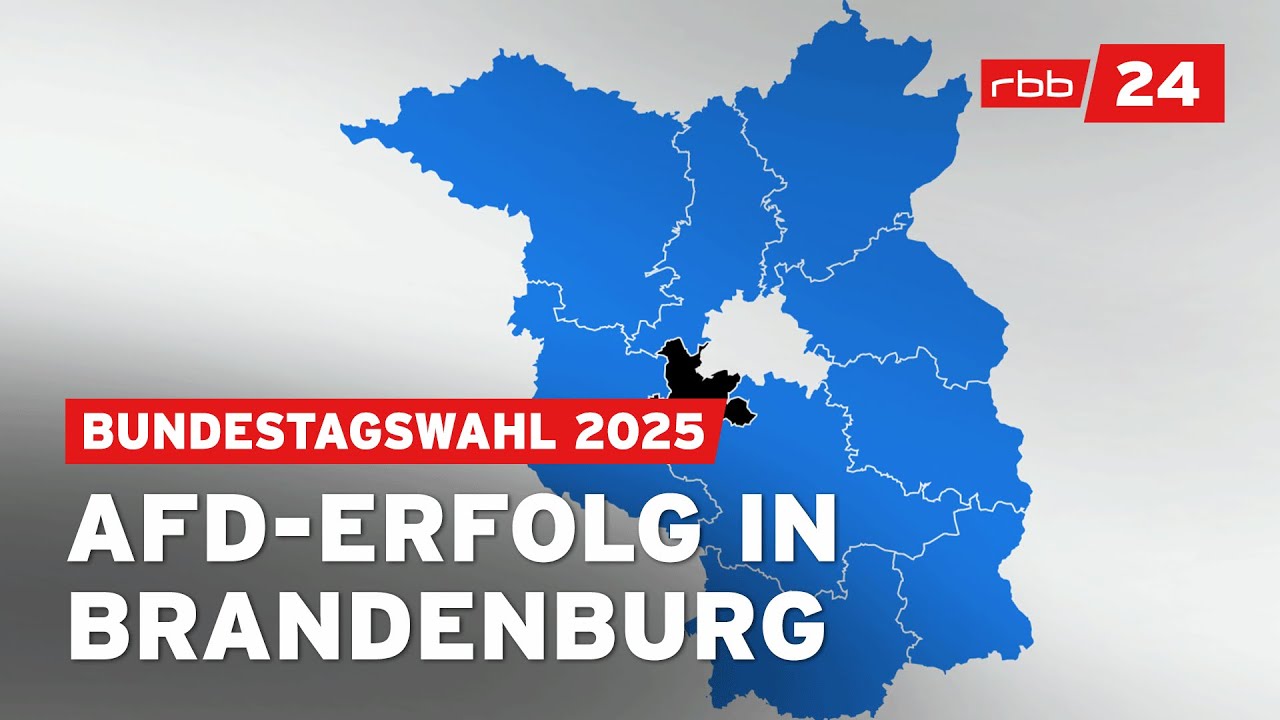 AfD wird stärkste Kraft in Brandenburg – Welche Konsequenzen?