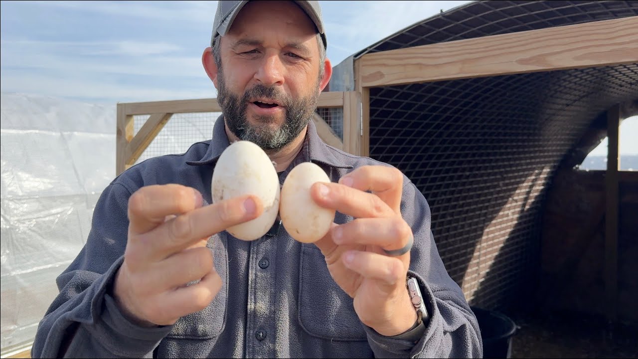 MONSTER EGG!  Is this what we THINK it is?