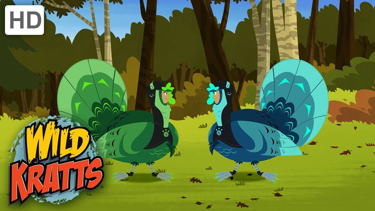 Wild Kratts | Happy Turkey Day | Full Episode | Season 2