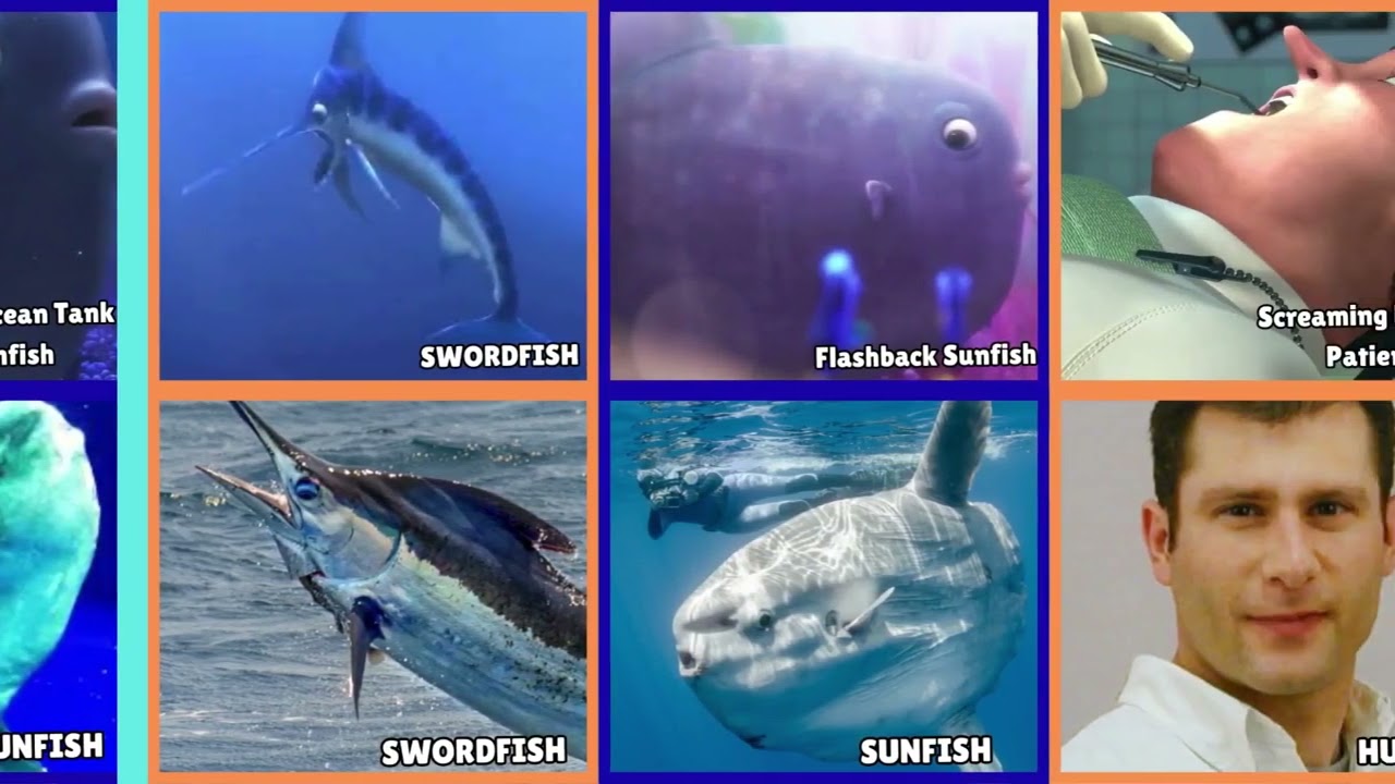 Real Life Version of Finding Nemo and Finding Dory Characters! (Part 4)