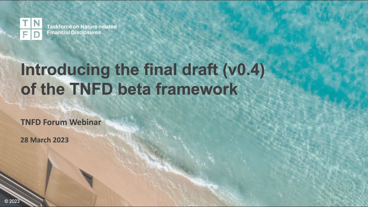TNFD Forum Webinar: Introducing the fourth iteration (v0.4) of the TNFD beta framework