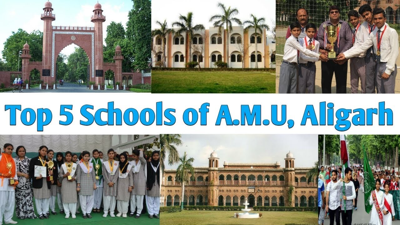 Top 5 Schools of A.M.U, Aligarh || Aligarh Muslim University, Aligarh (Uttar Pradesh) India 🇮🇳