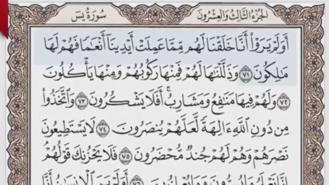 القرآن الكريم بالصفحات صوت وصورة ص/ 445 الشيخ محمود خليل الحصري بمد المنفصل