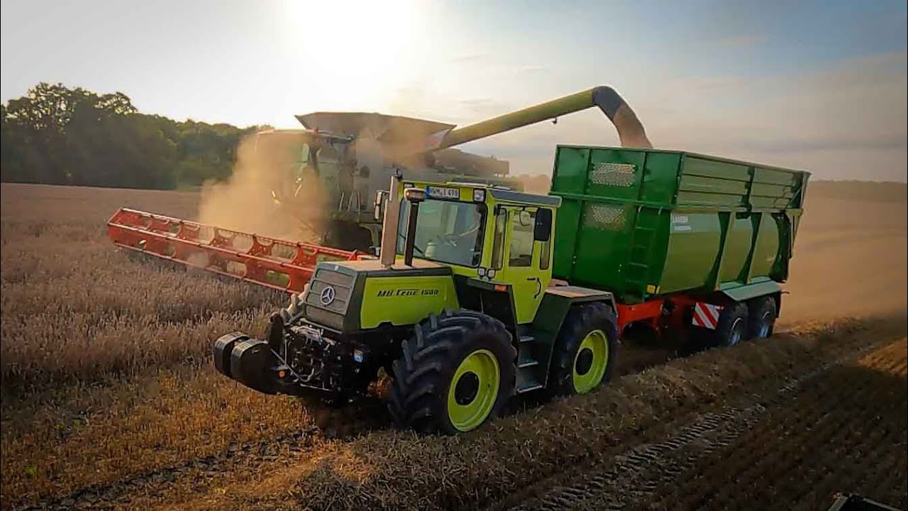 Getreide Ernte 2021 MB-Trac 1500 Unimog CLAAS Lexion Weizen