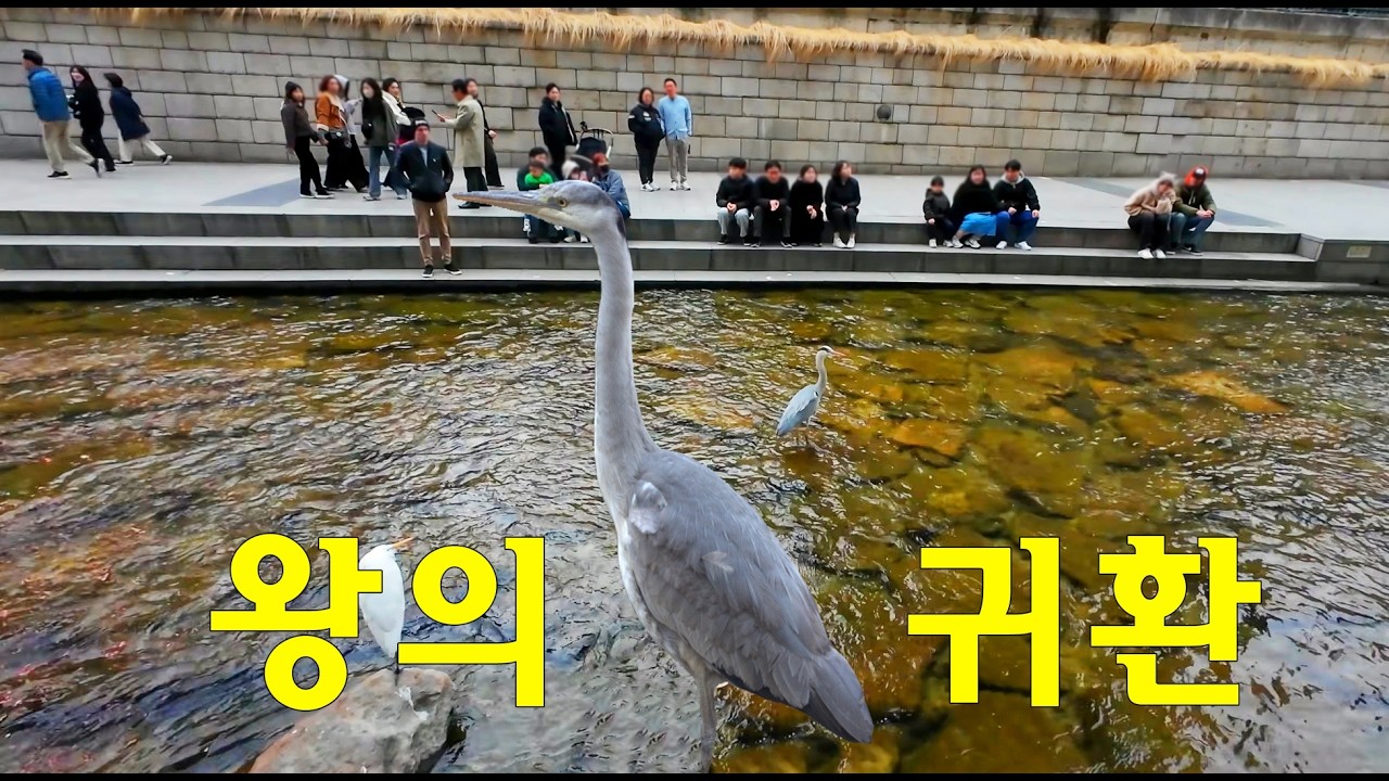 왜과장이 돌아온 청계천 과연 어떤 일들이 펼쳐질까?
