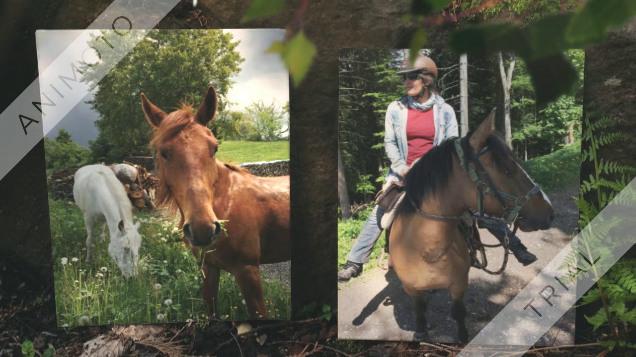 Schwarzwald Wanderreiten Todtmoos-Au
