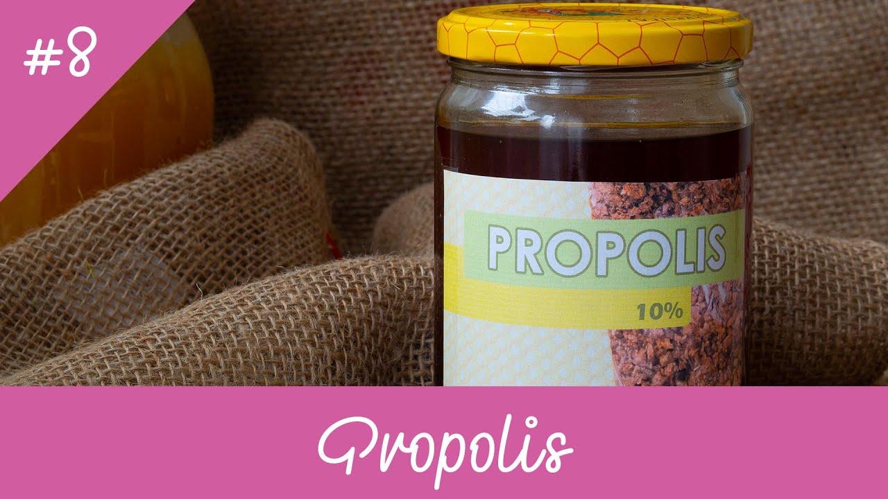 Jak zrobić... (odc. 8) - Propolis