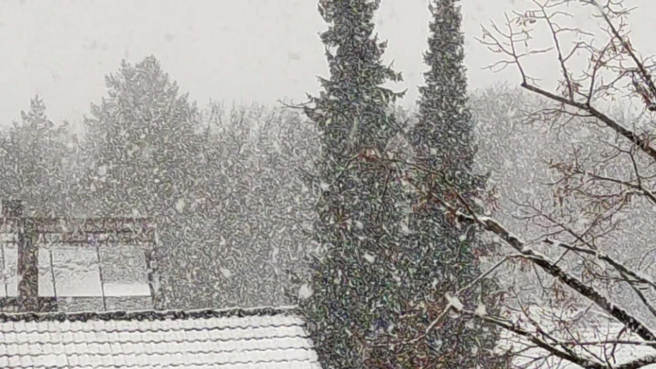 Kräftiger Schneefall am 02.01.2026 über Ingolstadt - Die erste Doku des Jahres 2026❄️❄️❄️❄️