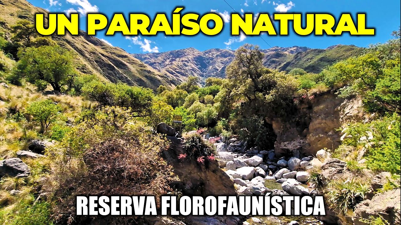 ¿Qué ver en Merlo San Luis? 🌄 Descubrí la Reserva Florofaunística y sus Sierras