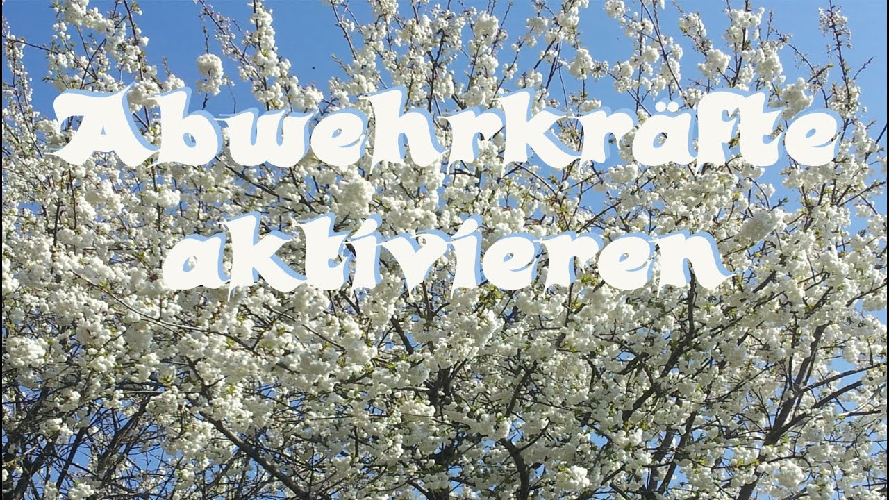 Abwehrkr&auml;fte aktivieren - Einen unbesiegbaren K&ouml;rper und Geist haben - Einschlafmeditation