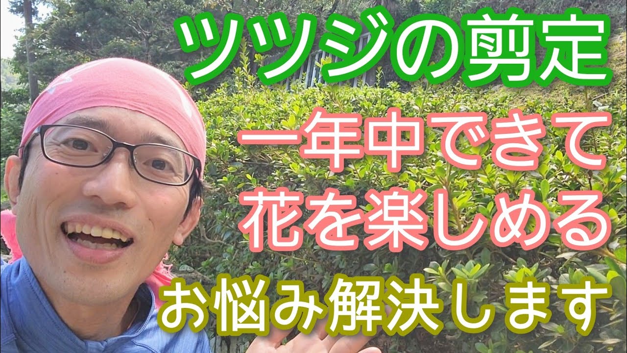 【ツツジ類の剪定】不適期でも可能！花が咲く手入れのコツ(2023年9月)🍃🌸