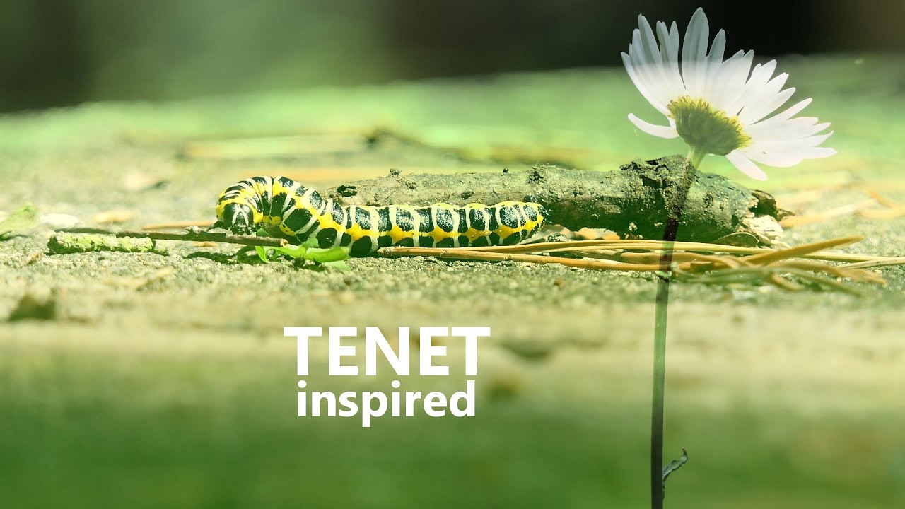 The Touch Of Nature | TENET Inspired