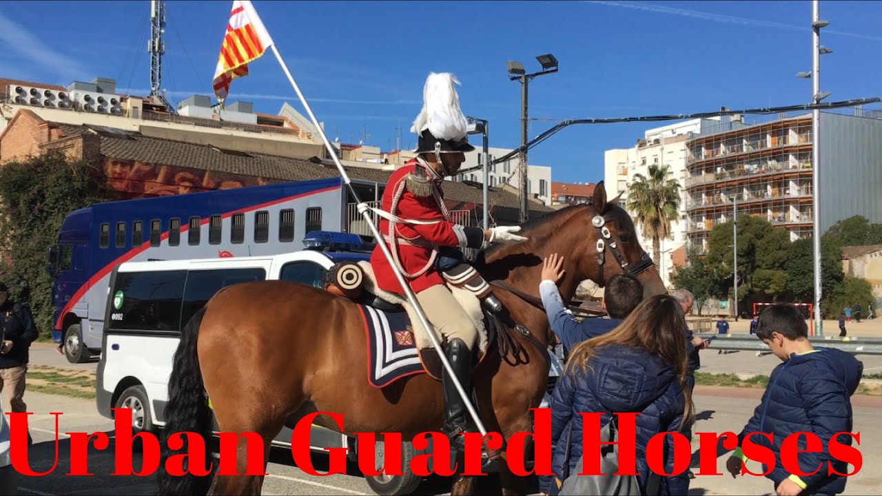 Horses of the Urban Guard Mounted Unit of Barcelona | Sant Medir La Bordeta 2020