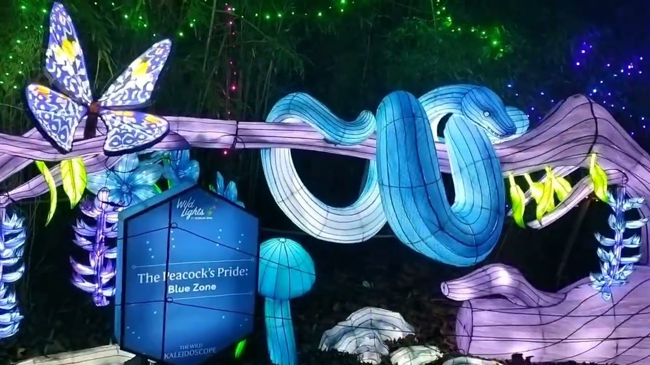 Wildlights at Dublin Zoo, 2025