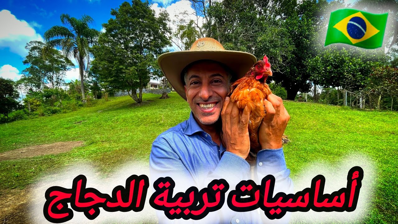 تربية الدجاج 🐓 كل ما تحتاج معرفته عن تربية الدجاج 🙂