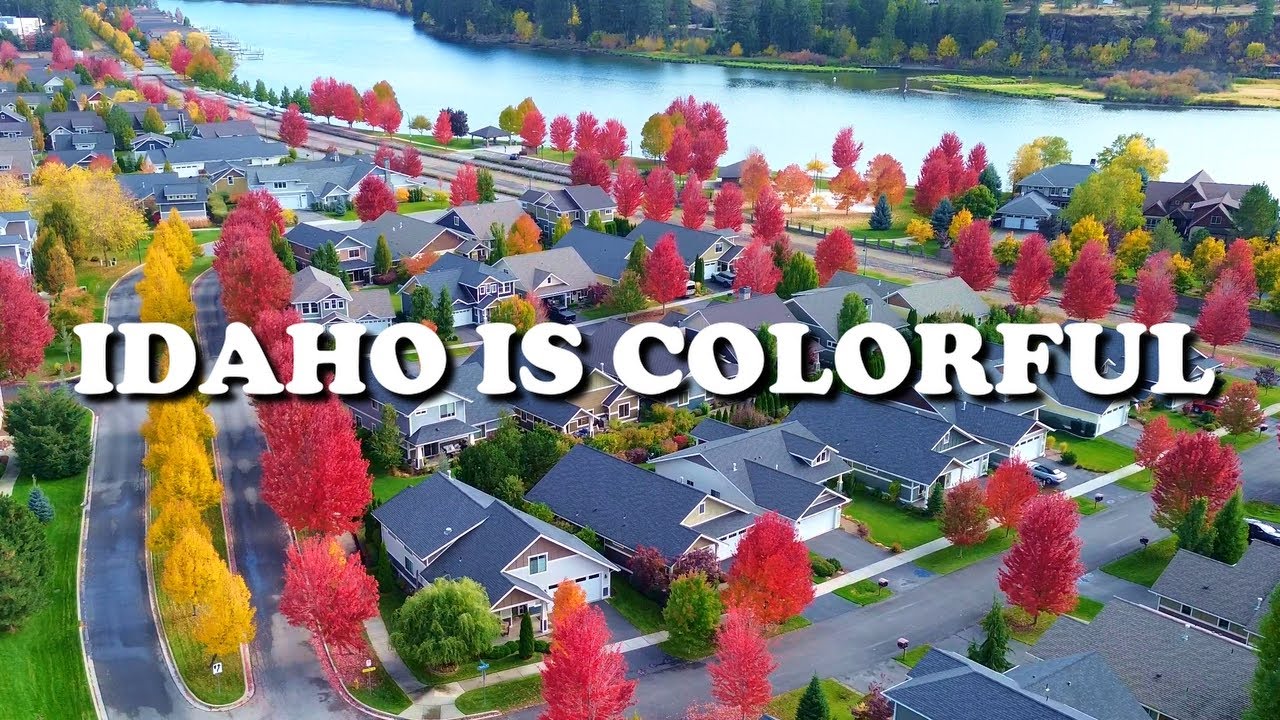 Autumn in Coeur d'Alene, Idaho (Colorful Fall Foliage)