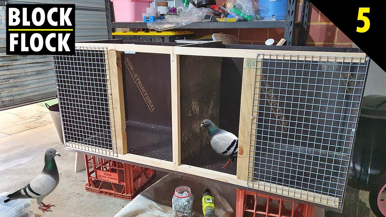 PIGEON BREEDING BOXES ( Pt1 )