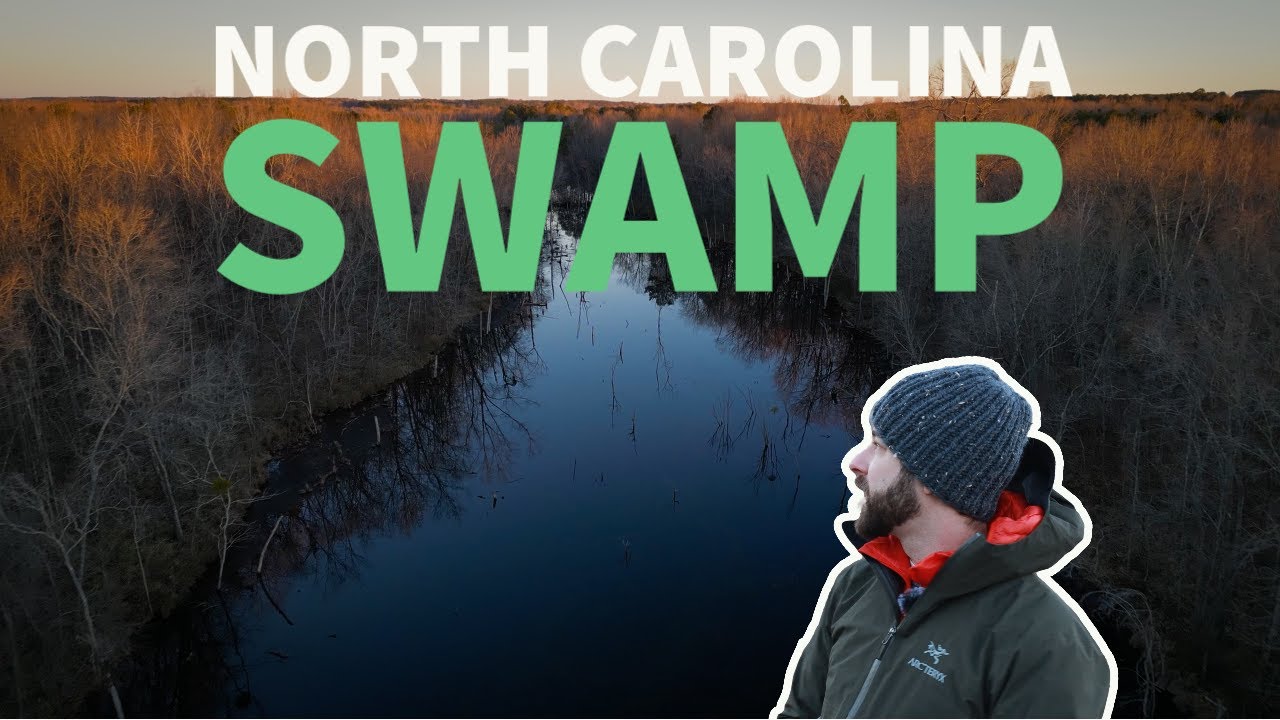 Swamp Photography // A North Carolina Swamp in the Winter //  A Relaxing Morning