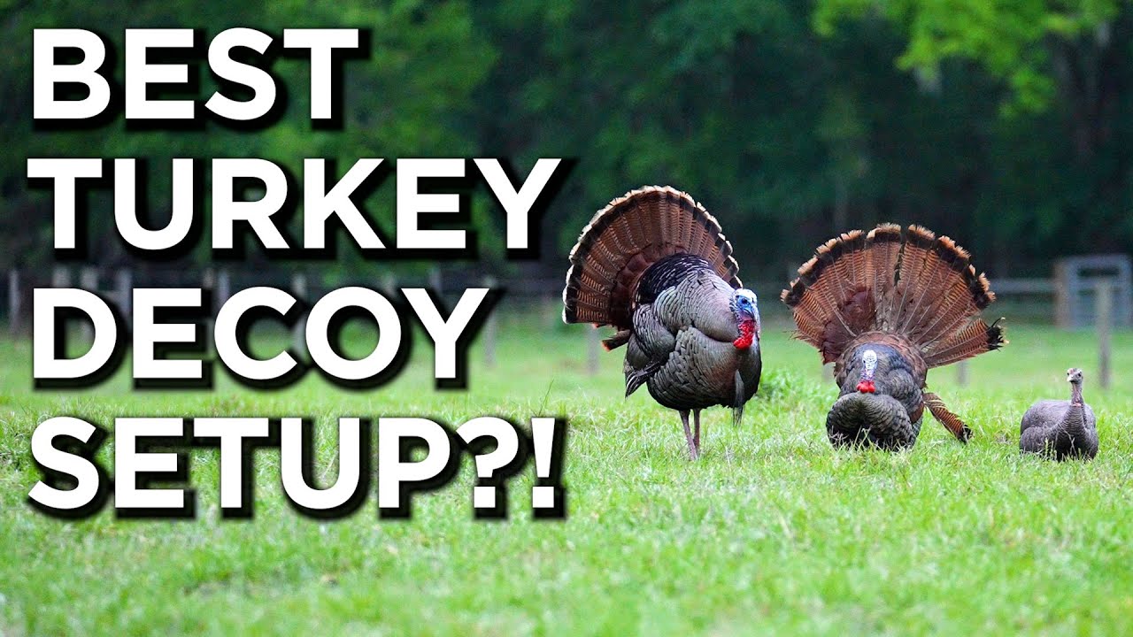 The BEST Decoy Setup For Turkeys?! | Spring Turkey Hunting Tips