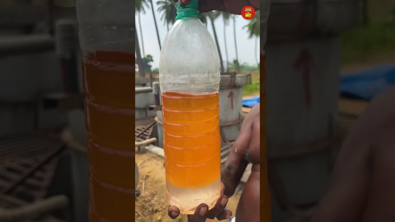Traditional Palmarosa OIL MAKING Process - Essential Oil Extraction