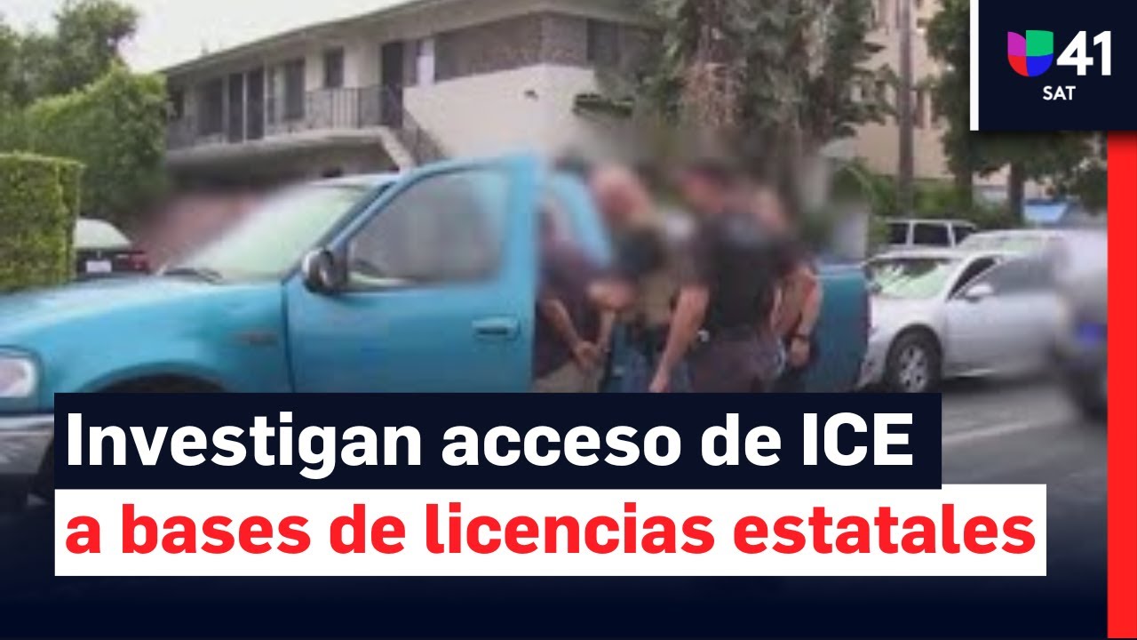 ICE obtiene acceso a información personal a través de base de datos de licencias de conducir
