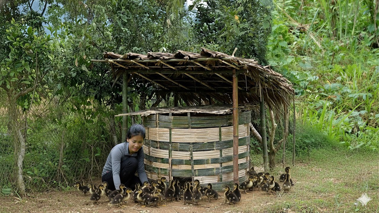 Бездомная девочка заботится о диких утках в лесу &ndash; путь доброты в природе