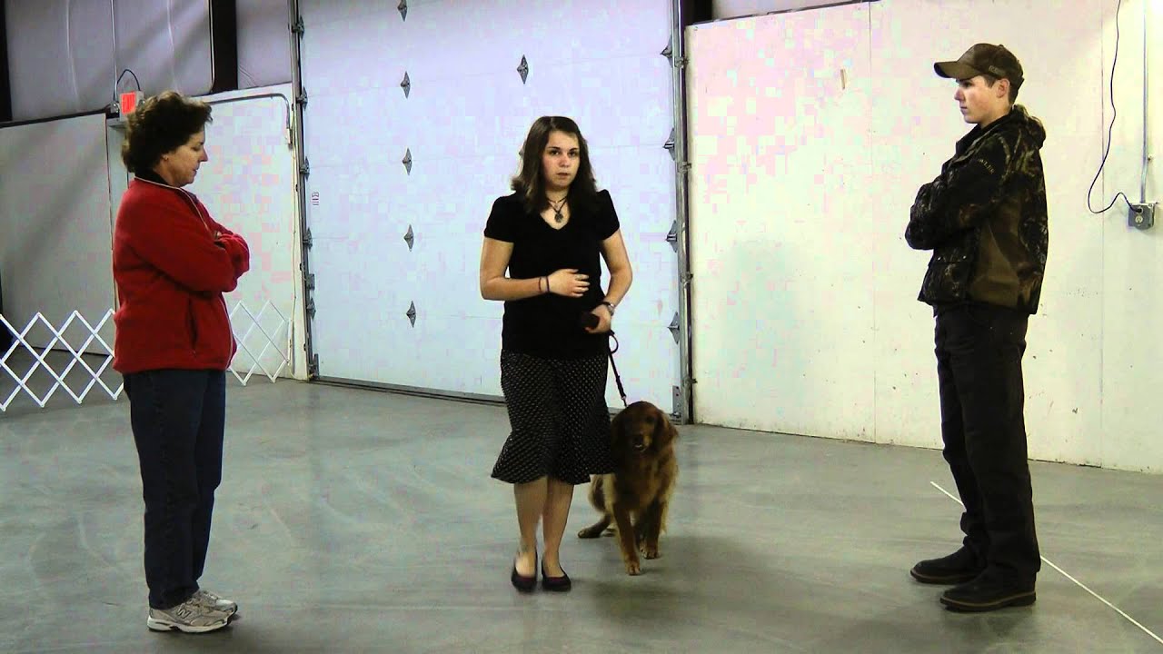 2c. Figure 8: Oregon 4-H Dog Obedience Project