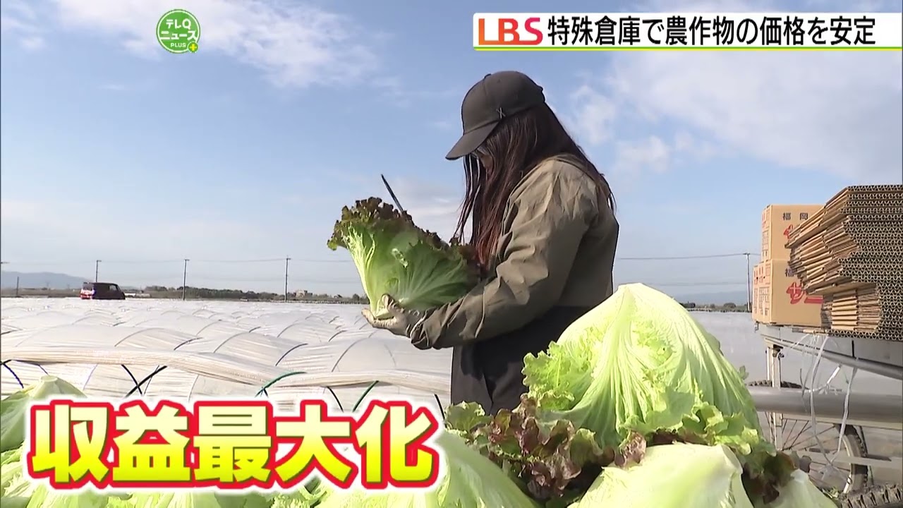 農家が直面する「豊作貧乏」を解消　暴落した農産物を保管し相場回復後に出荷　農作物のアマゾン「福岡ソノリク」【LBS九州発】