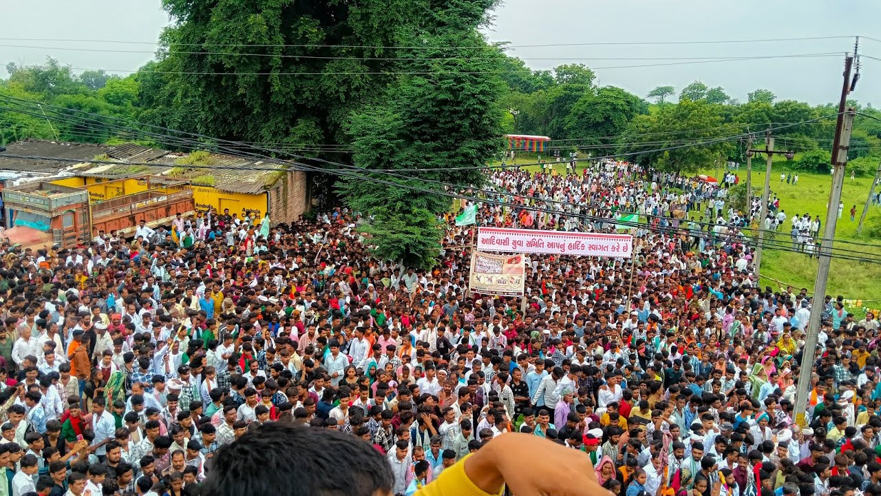 વિશ્વ આદિવાસી દિવસ મહારેલી ઘોઘંબા | Ghoghmba Live Adivashi Reli 2025 | aadivashi યુવા સમિતિ ઘોઘંબા