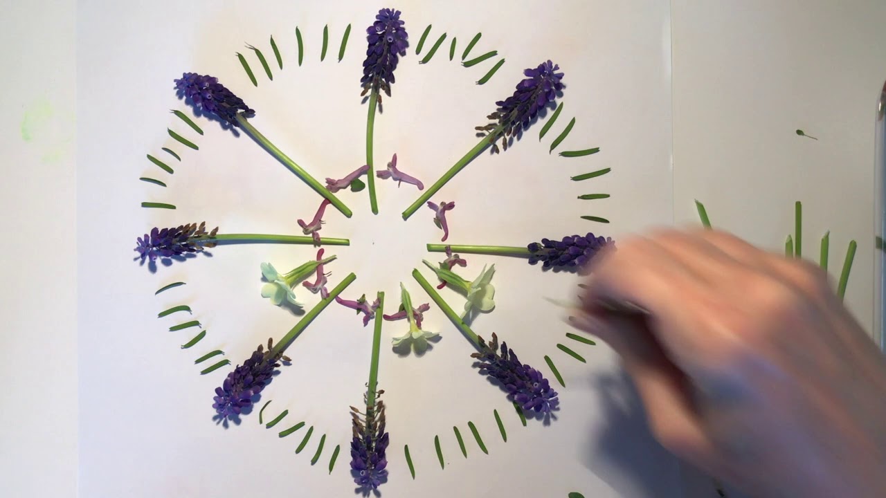 Follow Lisa: The Most Amazing Flower Mandala Tutorial