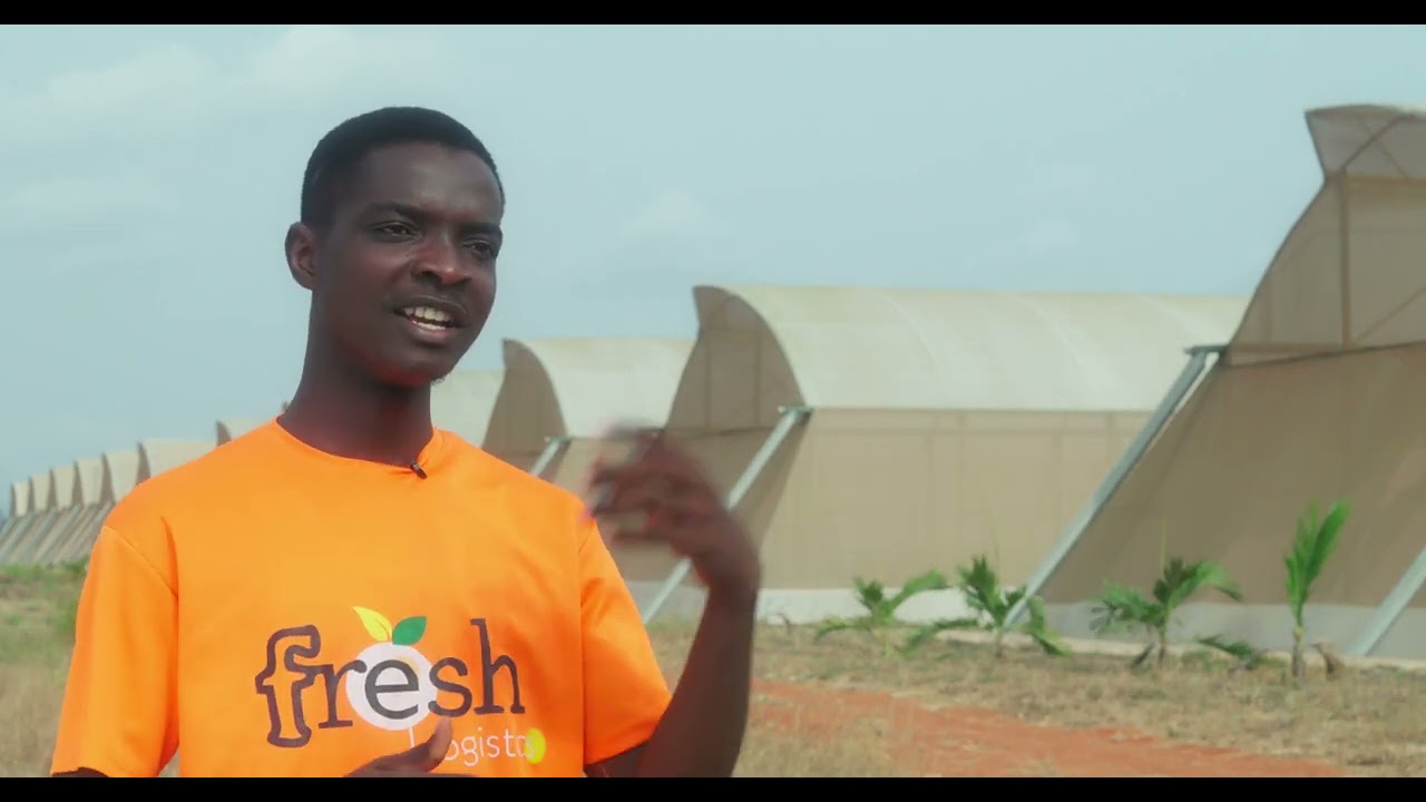Inside Ghana's biggest greenhouse farms: Success Stories You Need to Hear | Fresh Logistics