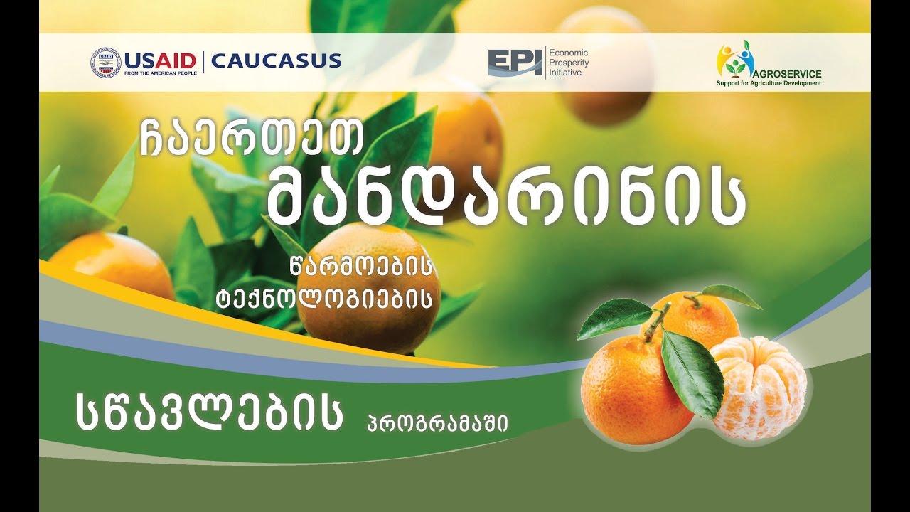 რჩევები მანდარინის მოყვანის შესახებ